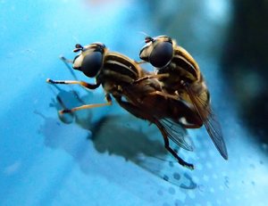 comp_ketten máshogy_1.jpg