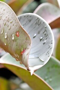 sample 5.jpg sample 5.jpg