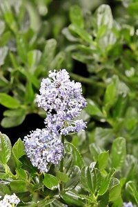 sample 7.jpg sample 7.jpg