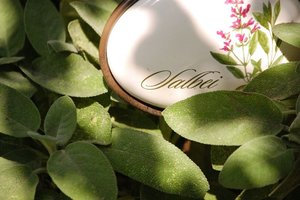 Maggiekraut u.a....Salbei0001.jpg