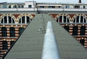 comp__MG_2847.jpg comp__MG_2847.jpg