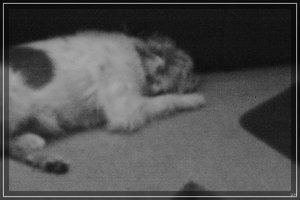 compIMG_7130.jpg compIMG_7130.jpg