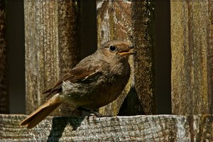 DSC08363.JPG DSC08363.JPG