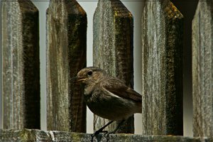 DSC08383.JPG DSC08383.JPG