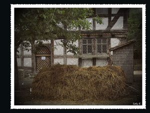 SDIM3912-a.jpg SDIM3912-a.jpg