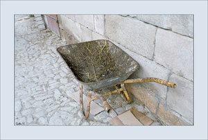 SDIM3913.jpg SDIM3913.jpg