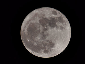 Mond_P3192528_4.jpg