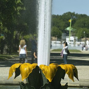 SDIM1616 Ausschnitt.jpg