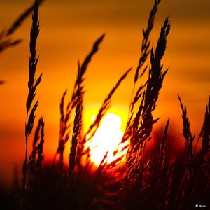 SDIM3757 Ausschnitt.jpg