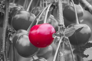 SDIM5236_1_g1_pm1200.jpg SDIM5236_1_g1_pm1200.jpg