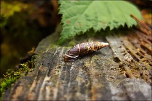 CRW_1082.JPG CRW_1082.JPG