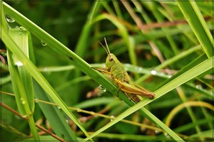 CRW_1088.JPG CRW_1088.JPG