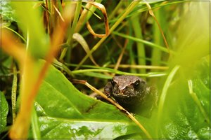 CRW_1092.JPG CRW_1092.JPG