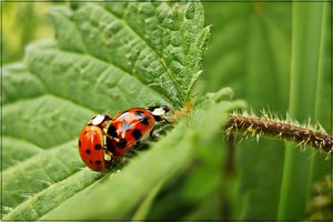 CRW_1105.JPG CRW_1105.JPG