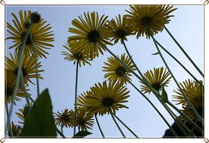 Himmelwärts.JPG Himmelwärts.JPG