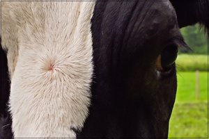 CRW_1118.JPG CRW_1118.JPG