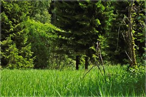 CRW_1162.JPG CRW_1162.JPG