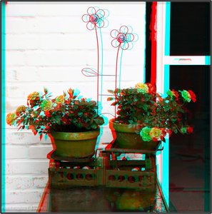 comp_IMG_3d4917.jpg