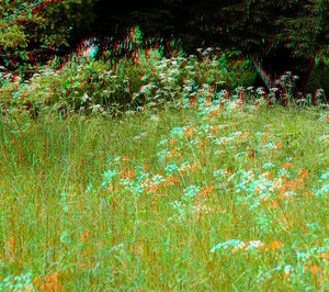 comp_Herrenkrug 4.jpg