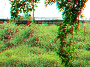 comp_comp_Ehle 1.jpg