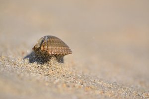 DSC_0419.JPG DSC_0419.JPG