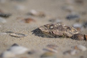 DSC_0437.JPG DSC_0437.JPG