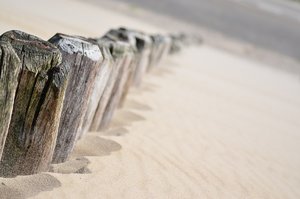 DSC_0439.JPG DSC_0439.JPG