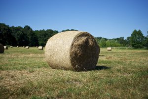 _DSC3208.jpg _DSC3208.jpg