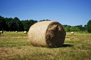 _DSC3208_1.jpg _DSC3208_1.jpg