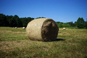 1968158-clausb.jpg 1968158-clausb.jpg