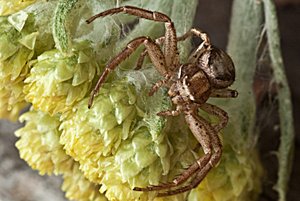 _MG_8499-1.jpg _MG_8499-1.jpg