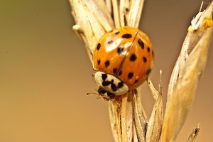 _MG_8443-1.jpg _MG_8443-1.jpg