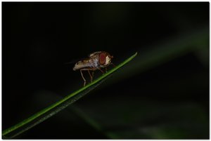 btest4.jpg btest4.jpg