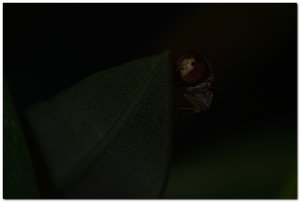 btest5.jpg btest5.jpg