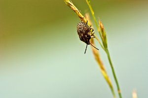 _MG_8424.jpg _MG_8424.jpg