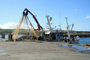 grüne Insel (931).jpg