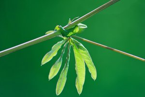 comp_Kopie von SDIM6418.jpg