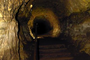 SDIM2488.jpg SDIM2488.jpg