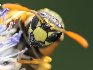 IMG_0011.JPG IMG_0011.JPG