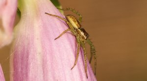 comp_DSC01347a.jpg comp_DSC01347a.jpg