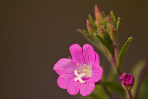 unbenannt-1521.jpg unbenannt-1521.jpg