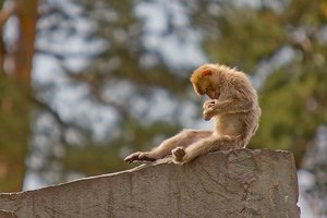 comp_unbenannt-1568.jpg comp_unbenannt-1568.jpg