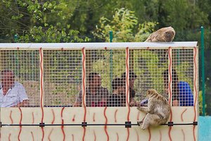 comp_unbenannt-1565.jpg comp_unbenannt-1565.jpg