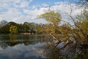 comp_fIMG_2322 Kopie.jpg