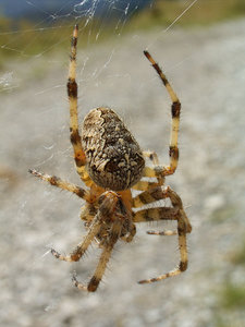 R0012124-web.jpg R0012124-web.jpg