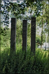 VanEupenWald-SD15 - SDIM5474.jpg