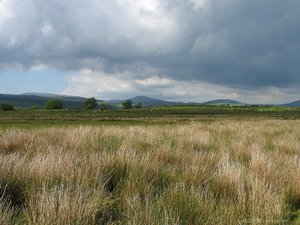 jm_Wales-Ystradfellte-1.jpg jm_Wales-Ystradfellte-1.jpg