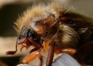 DSC_1722_01.JPG DSC_1722_01.JPG