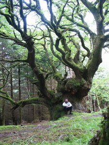 jm-Wales-BreconBeacons-1.jpg jm-Wales-BreconBeacons-1.jpg
