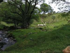 jm-Wales-BreconBeacons-2.jpg jm-Wales-BreconBeacons-2.jpg